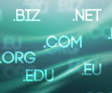 Picture for category URL Canonicalization